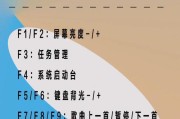 苹果电脑新手入门知识详解（全面了解苹果电脑的使用技巧与注意事项）