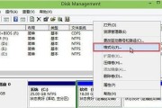 用大白菜启动PE系统教程（从大白菜制作PE盘到系统启动，一步步教你完成）