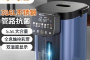 九阳电水壶的功能和优点（便捷高效、多功能实用，九阳电水壶成为家居必备品）