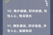 舞动电脑教程（用电脑舞蹈教程展现高级温柔魅力）