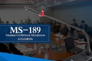 得胜麦克风（探索得胜麦克风的卓越性能与多功能性）