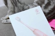以素士的电动牙刷效果如何？（究竟值不值得购买？使用感受如何？）