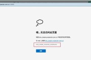 电脑经常出现DNS错误，该如何解决？（解析DNS错误的原因和常见解决方法）
