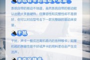 电脑安装声卡后无声音的解决方法（声卡安装问题导致电脑无声，探索原因并解决）