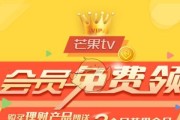 芒果系统（提升团队协作效率的利器）