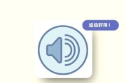 电脑无声？教你恢复正常！（解决电脑无声问题的有效方法，让你的电脑再次发声！）