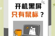 黑屏状态下的系统重装教程（解决黑屏问题，重新安装操作系统，恢复正常使用）