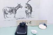夏新电子狗的功能和性能如何？（了解夏新电子狗的一些特点和用户体验）