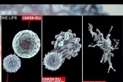 消灭癌细胞的新策略（性方法开启抗癌新时代）
