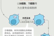 消灭癌细胞的新方法（突破性科学研究引领未来治疗癌症的发展）