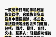 Android数据恢复（通过简单步骤和专业工具，快速恢复你的Android设备上的重要数据）