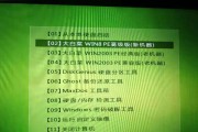 大白菜Linux系统教程（掌握Linux系统的基础知识，开启编程之路）