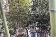 以35拍风景的魅力（捕捉大自然美景的关键）
