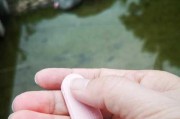 酷派8720q手机的全面评测（性能强劲，拍照出色，续航优秀，颜值满分，让你的手机生活更精彩）