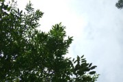 小米6的照相功力如何？（一探小米6照相表现，解析其镜头实力与创新之处）