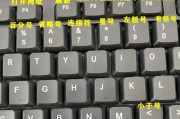 电脑键盘操作指南（轻松掌握电脑键盘操作技巧）